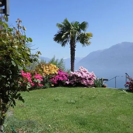 Nyaraló Avalon *